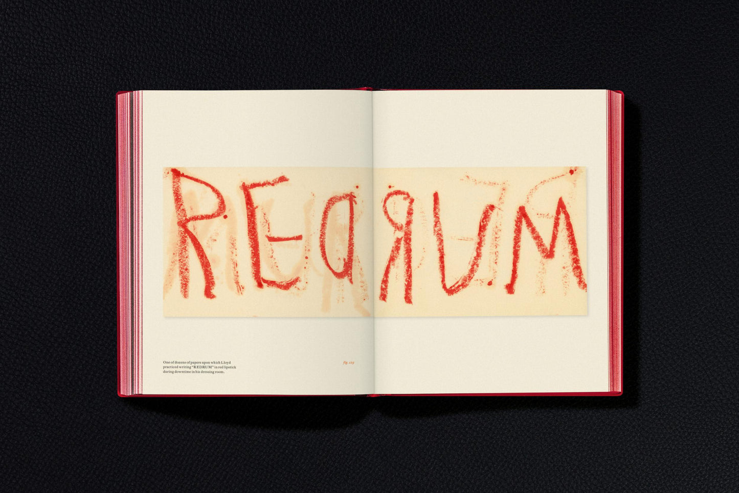 Stanley Kubrick's The Shining (English) Book