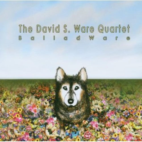 Ware,david S - Balladware - Music CD