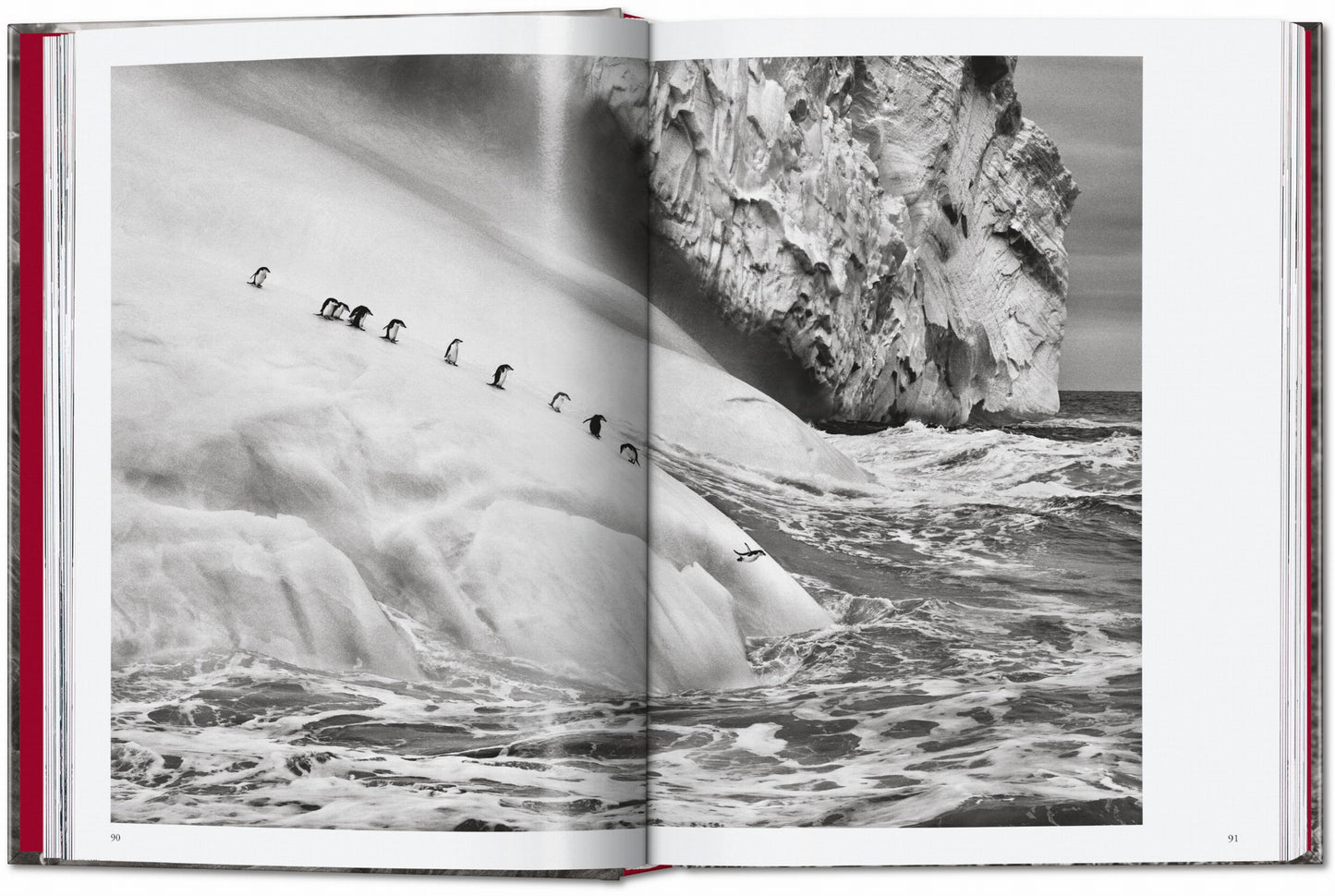 Sebastião Salgado. Genesis. 45th Ed. (English) Book