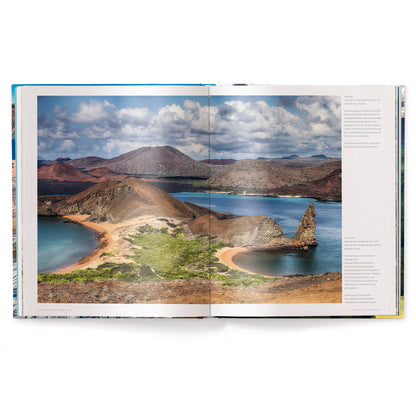 The World Book