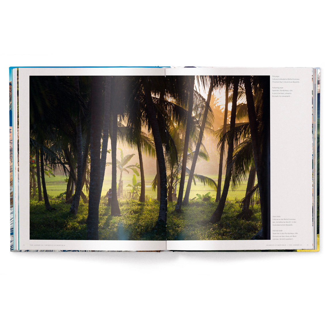 The World Book