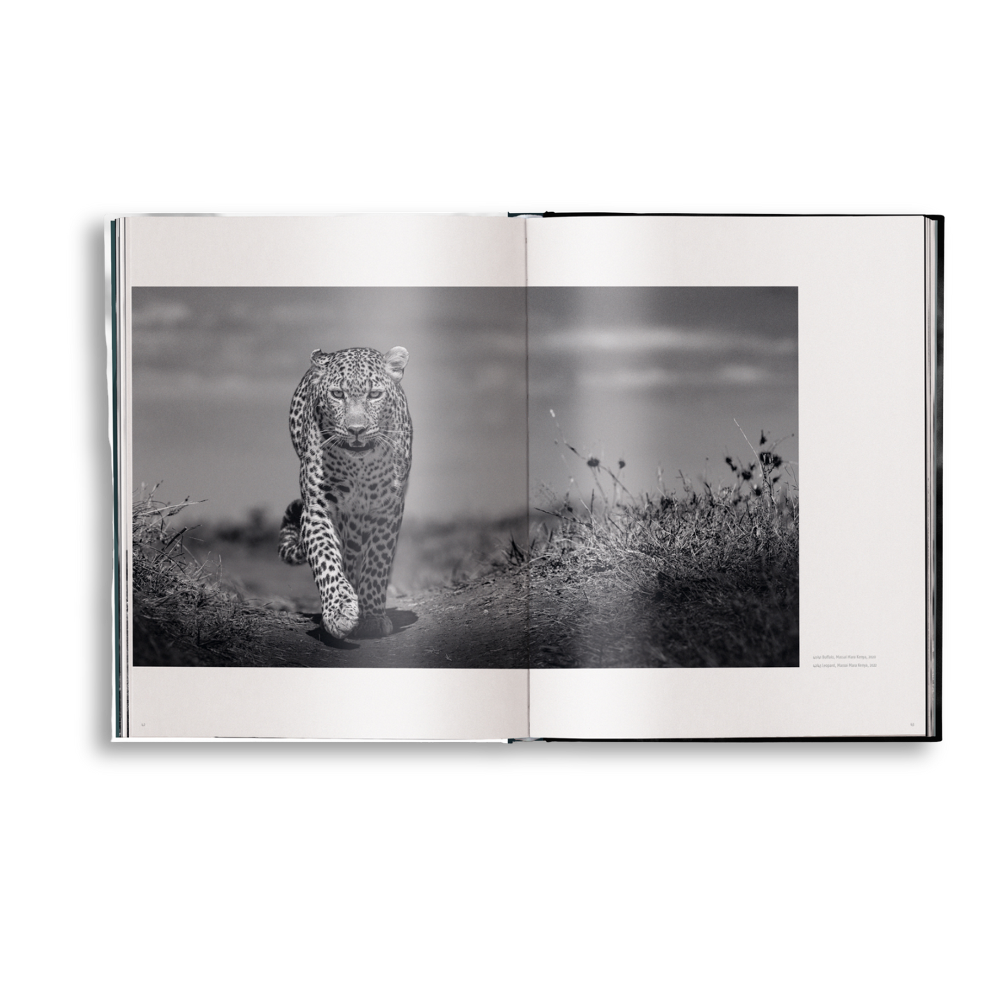 Beusker Book