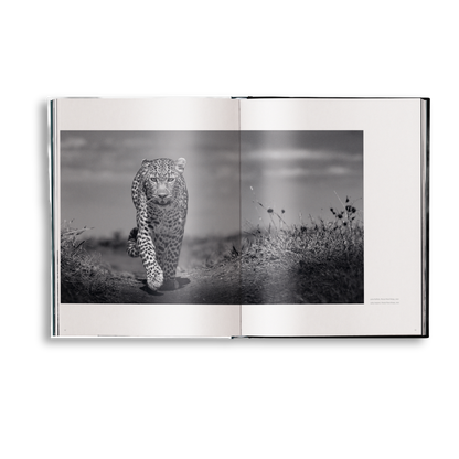 Beusker Book