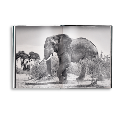 Beusker Book