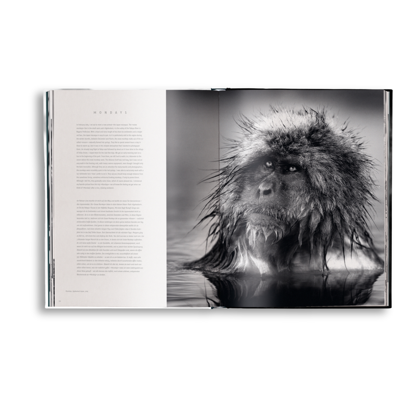 Beusker Book