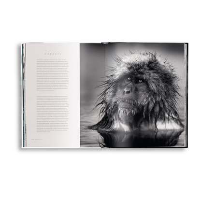 Beusker Book