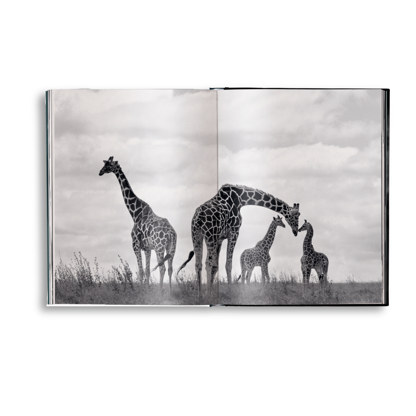 Beusker Book