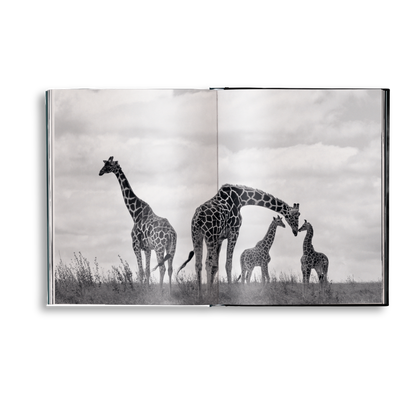 Beusker Book