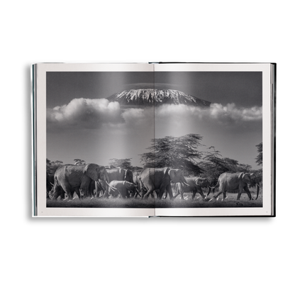 Beusker Book