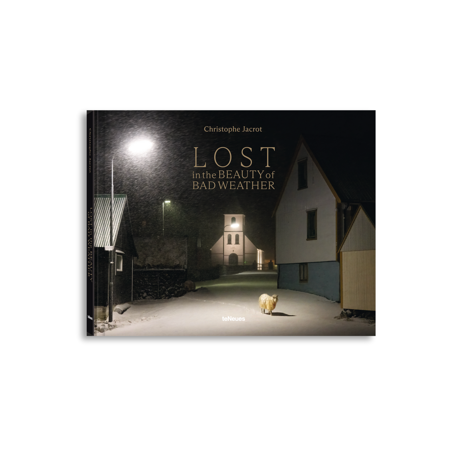 Lost in the Beauty of Bad Weather Book