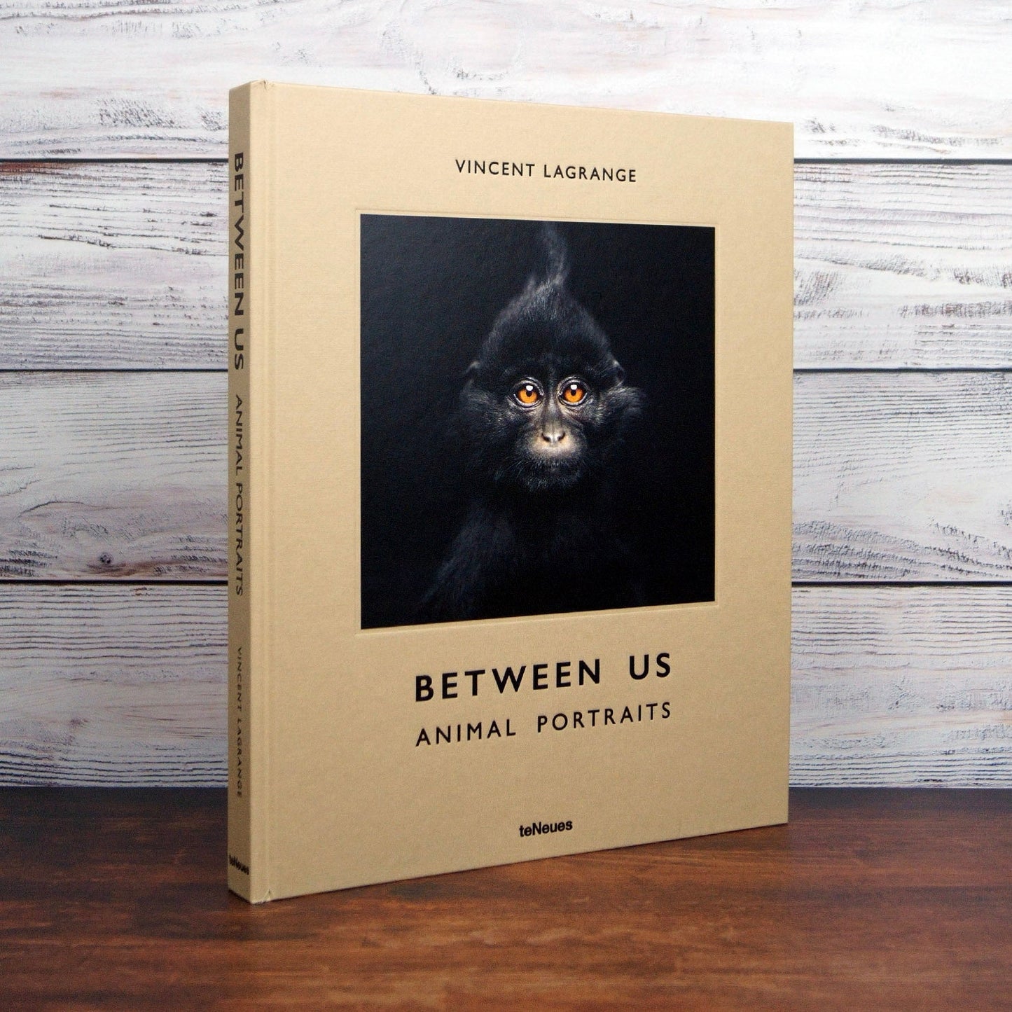 Between Us Book