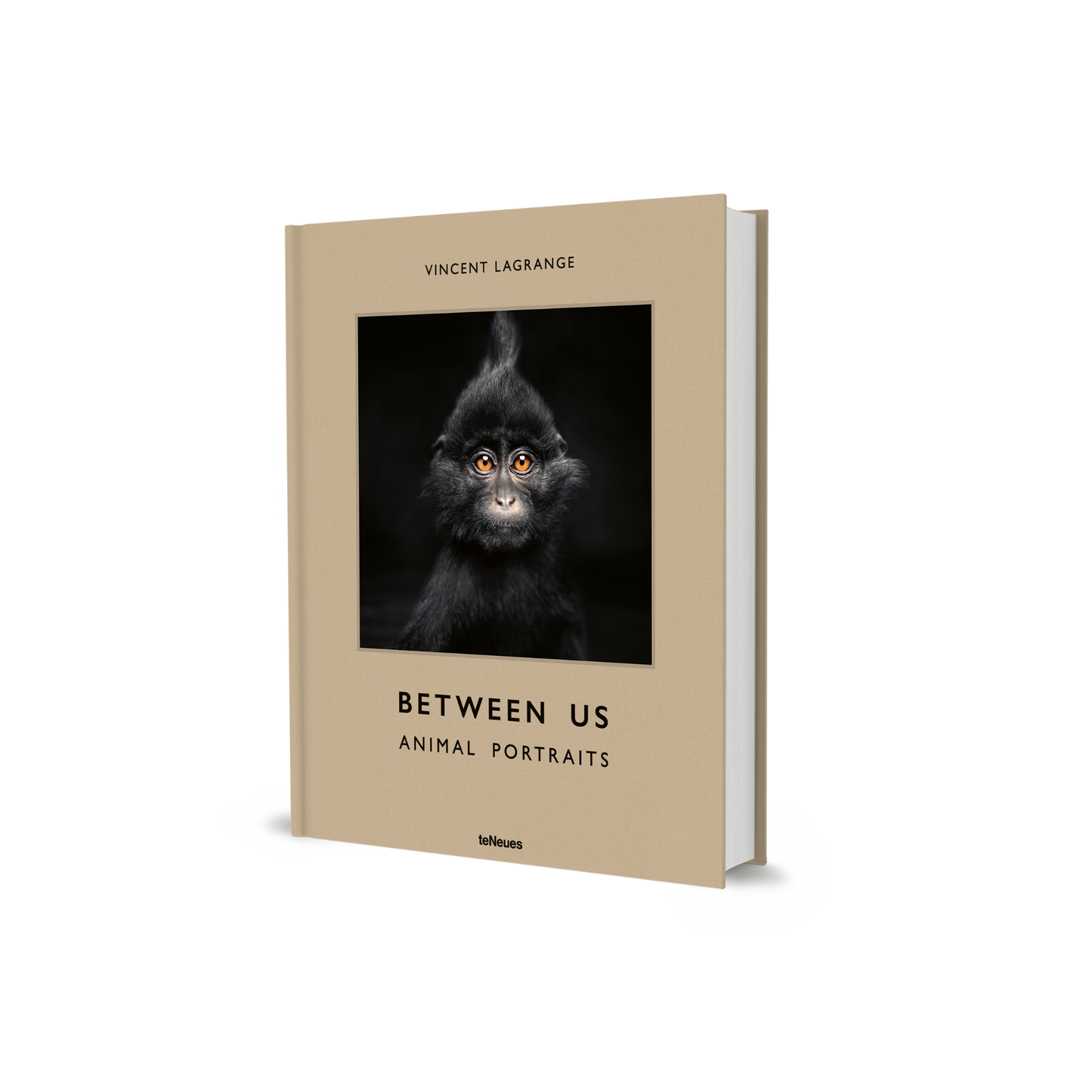 Between Us Book