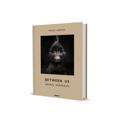Between Us Book