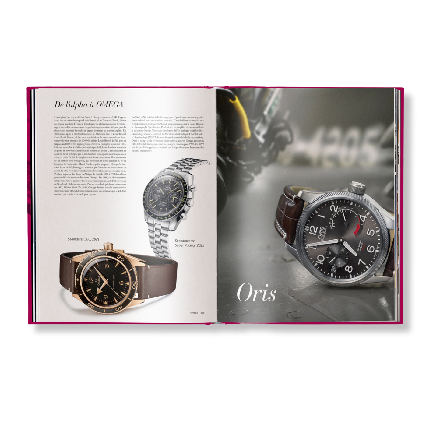 The Watch Book: Compendium Book