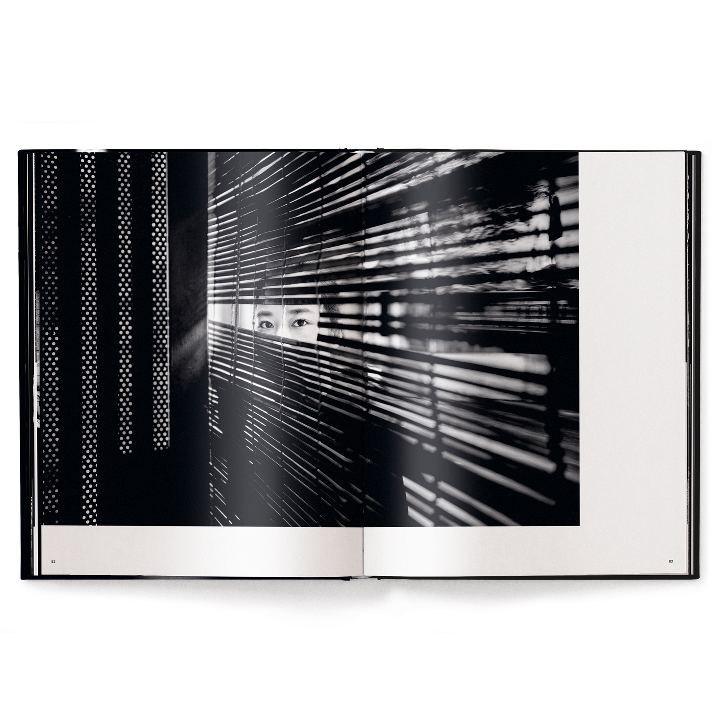 Metropolis Book