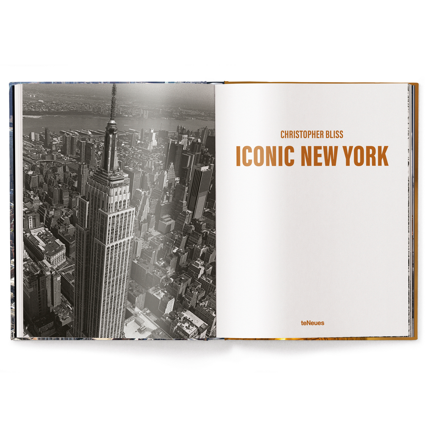 Iconic New York Book