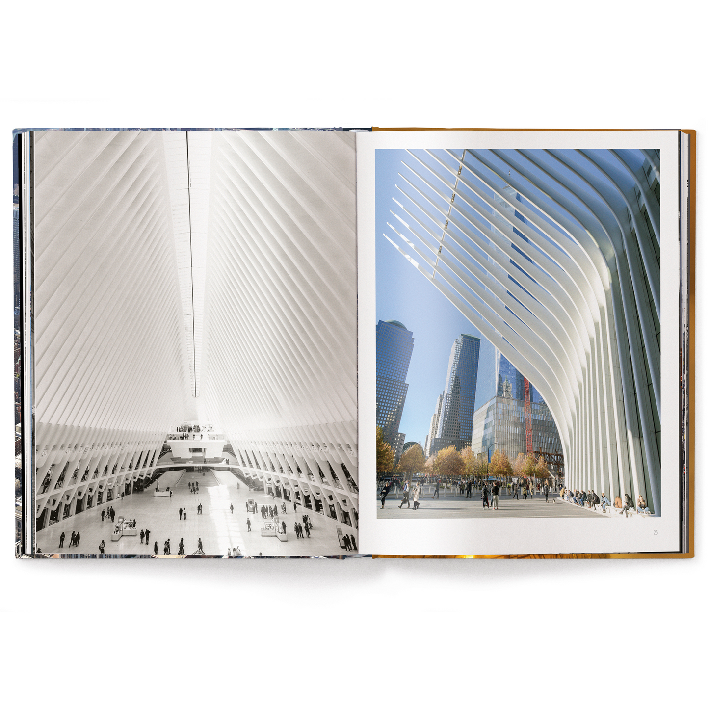 Iconic New York Book