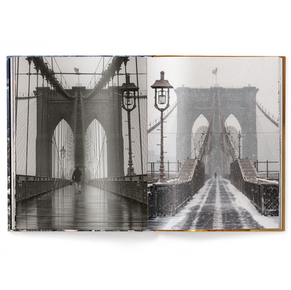 Iconic New York Book