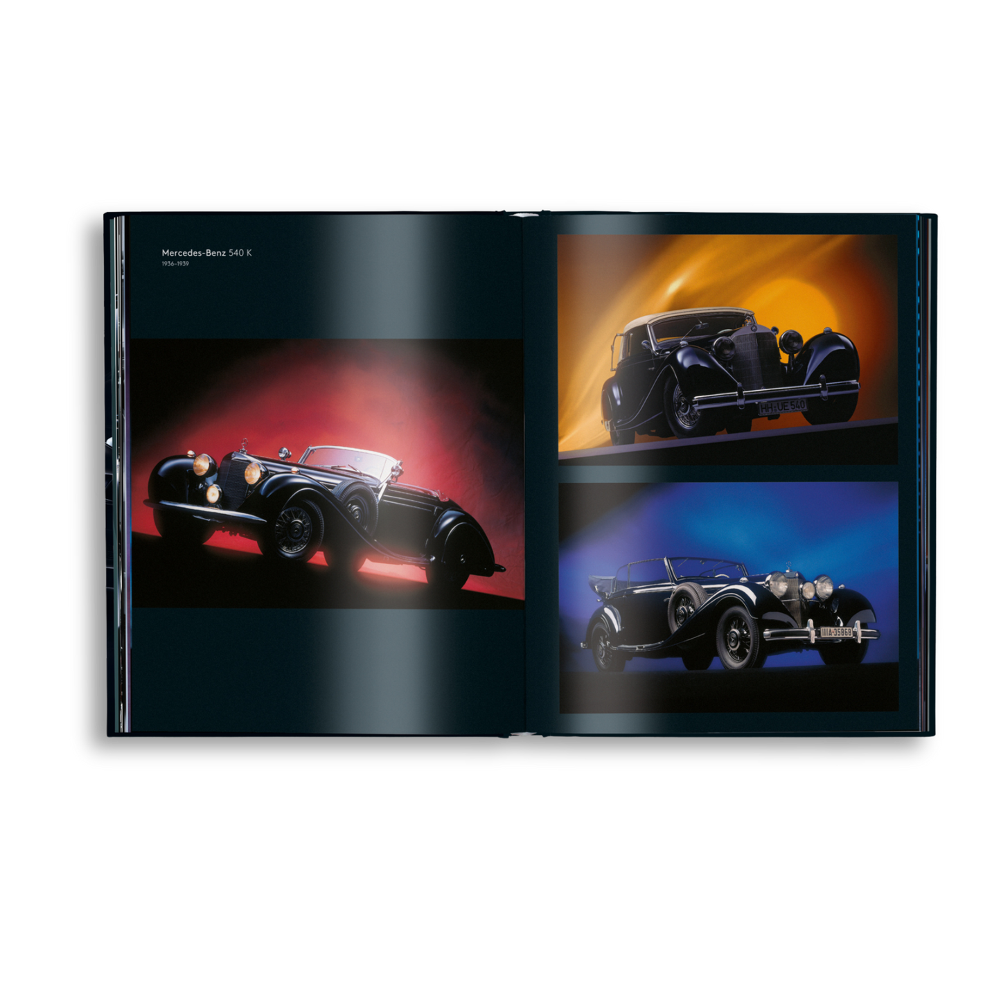 Black Beauties Book