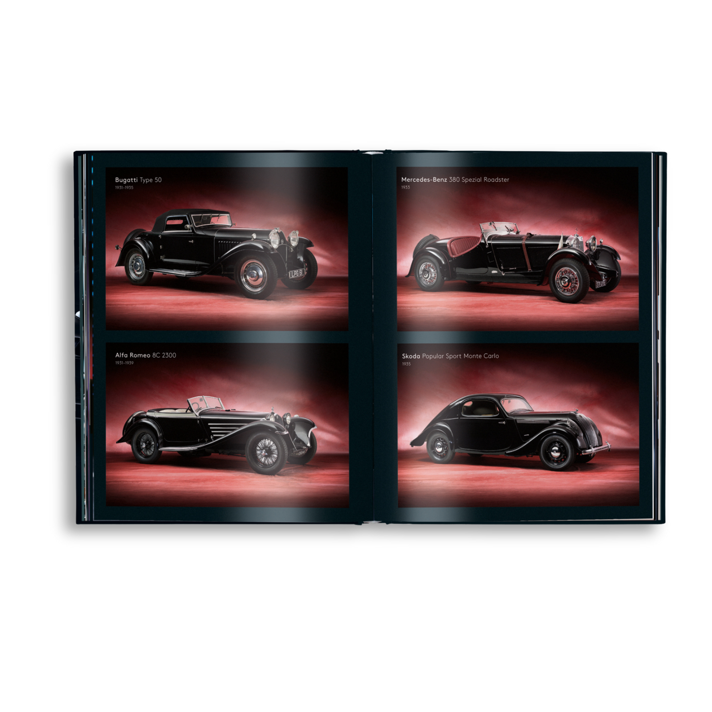 Black Beauties Book
