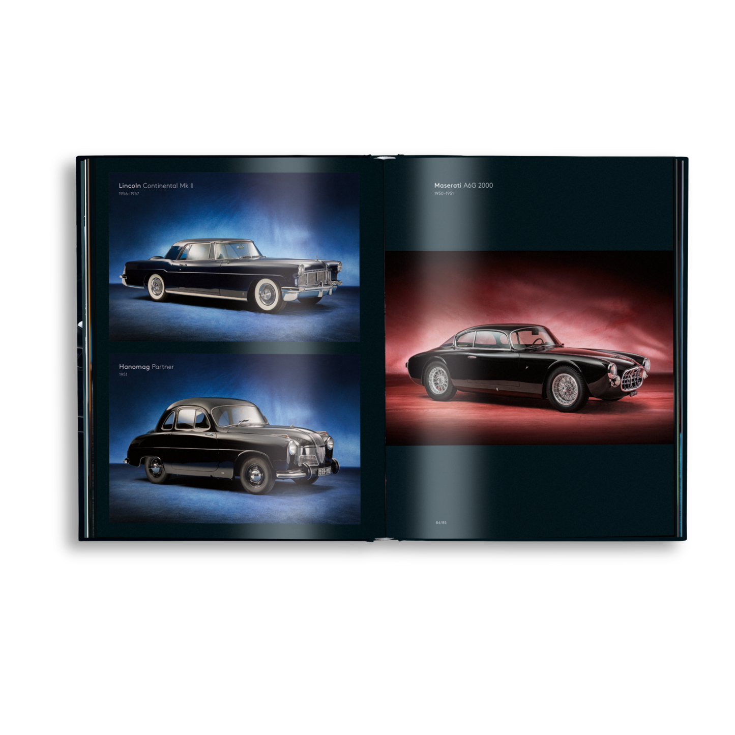 Black Beauties Book