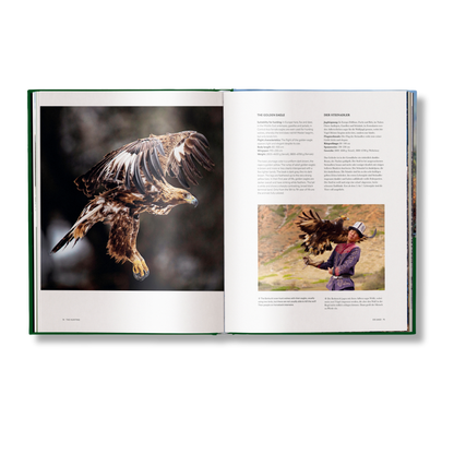 Hunting - The Ultimate Book