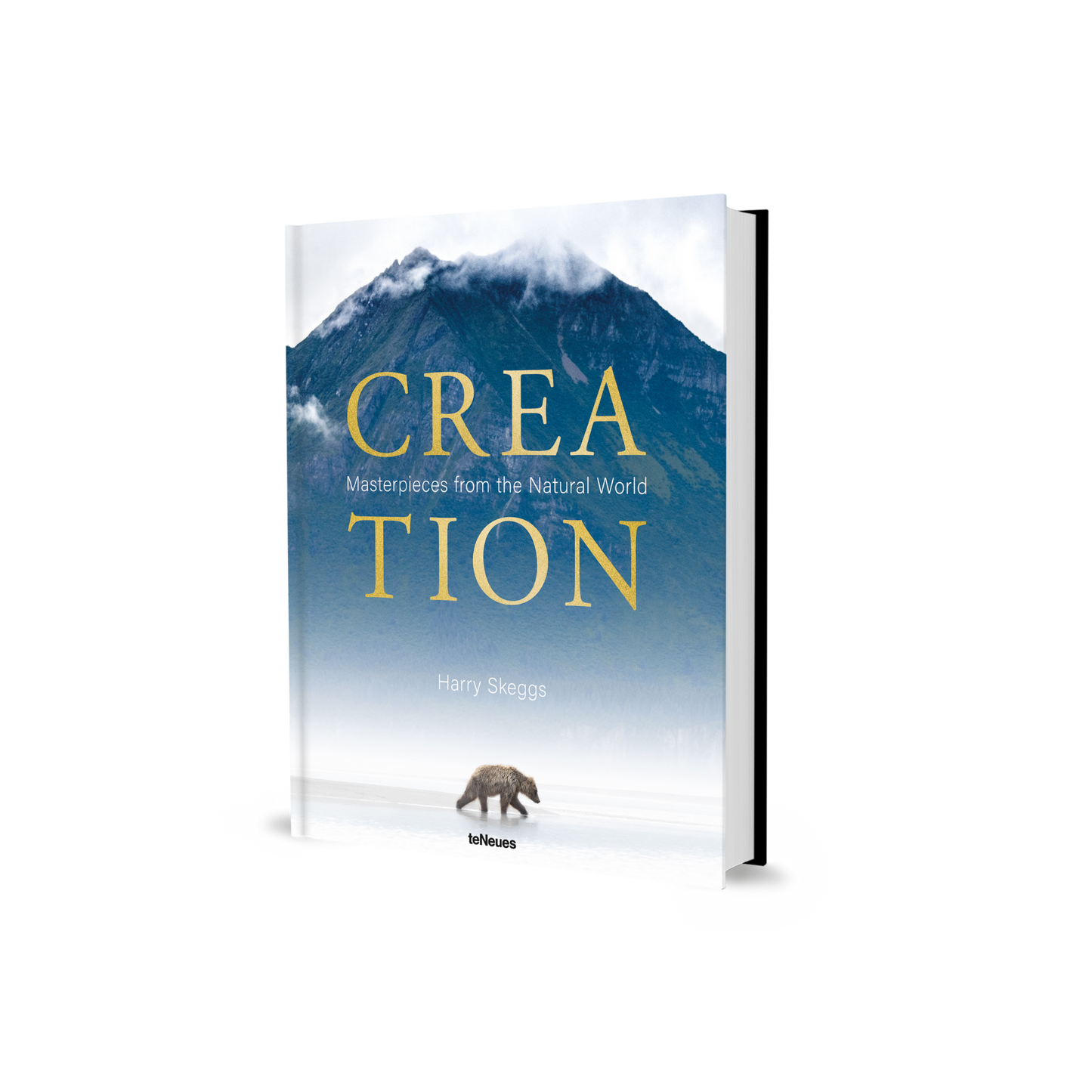 Creation Book