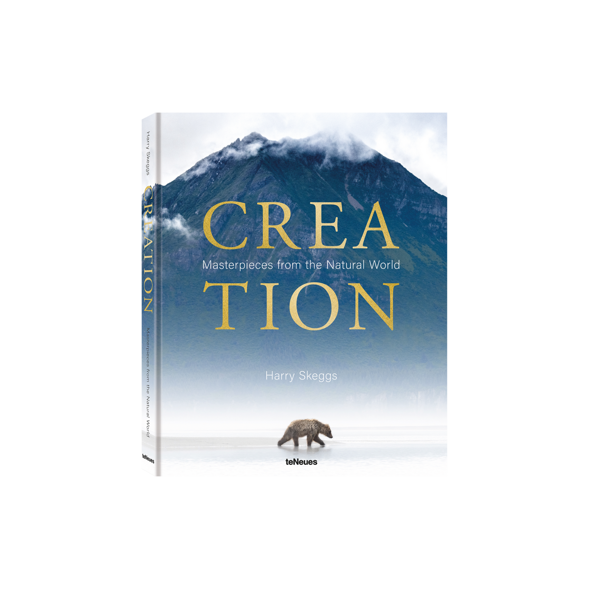 Creation Book