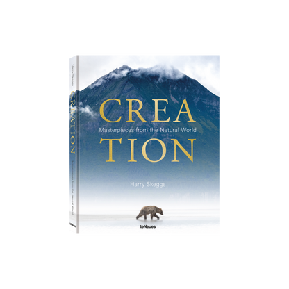 Creation Book
