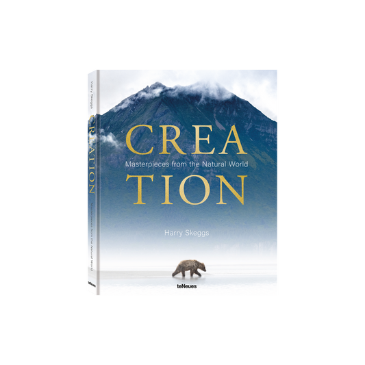 Creation Book