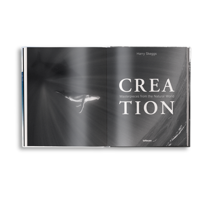 Creation Book