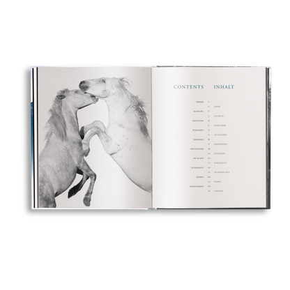 Creation Book