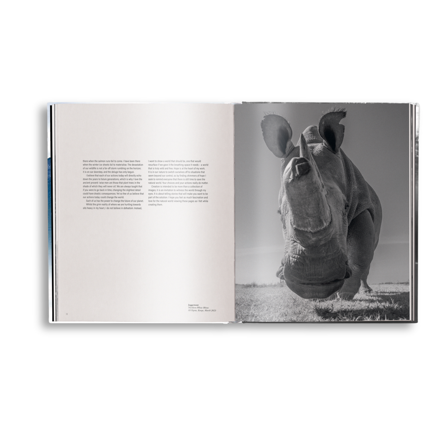 Creation Book