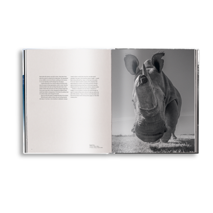 Creation Book