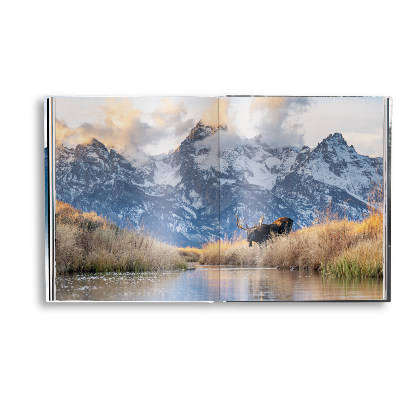 Creation Book