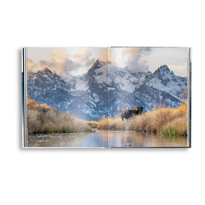Creation Book