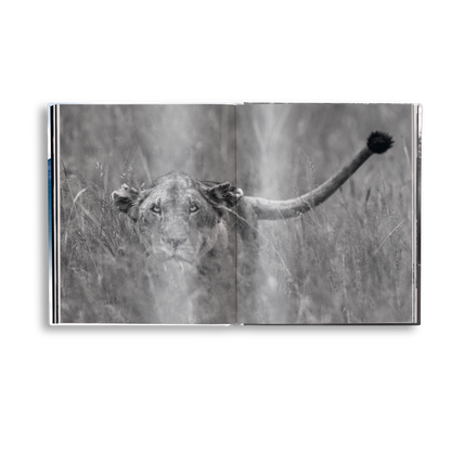 Creation Book
