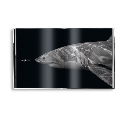 Creation Book