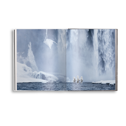 Untamed Spirits: Horses From Around the World Book