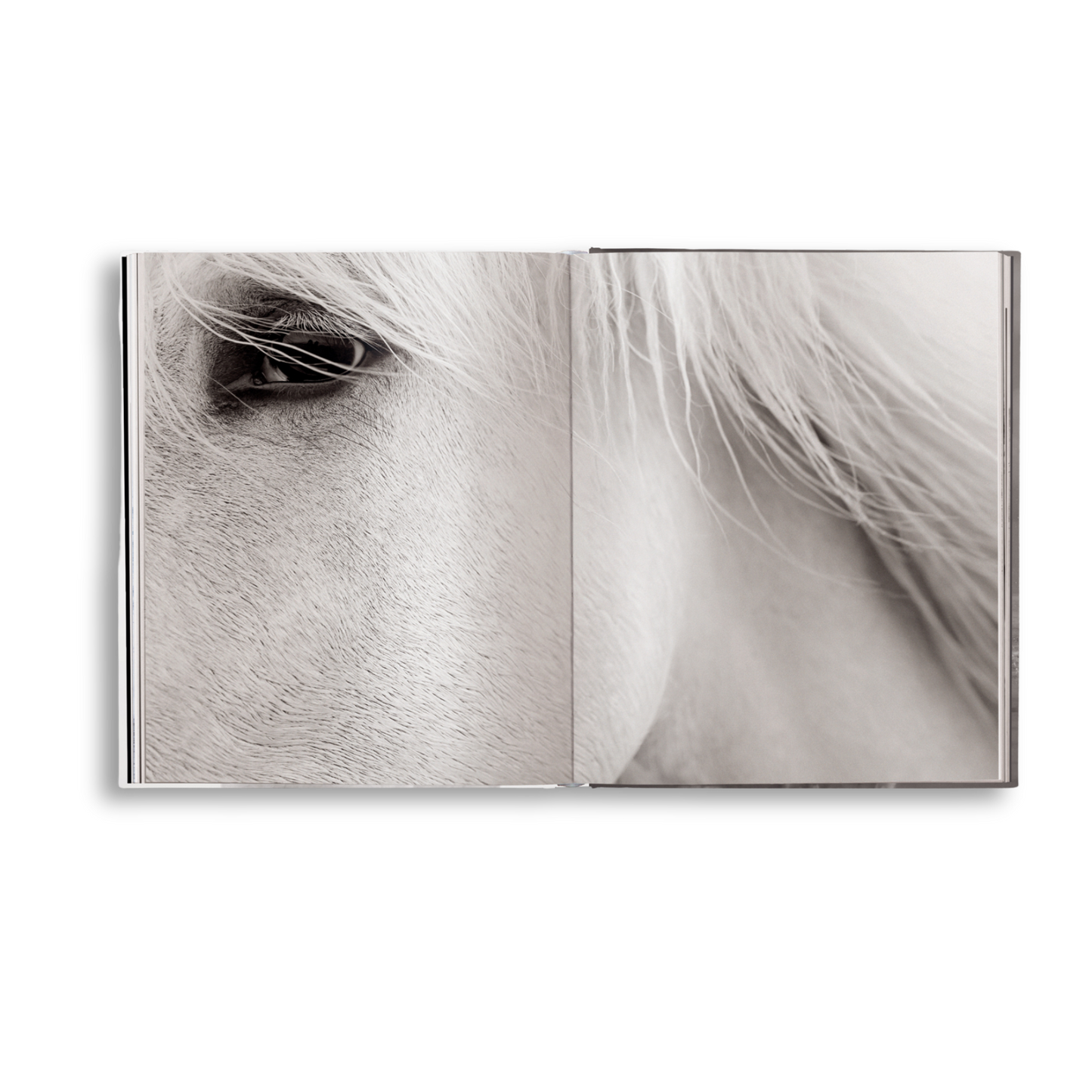 Untamed Spirits: Horses From Around the World Book