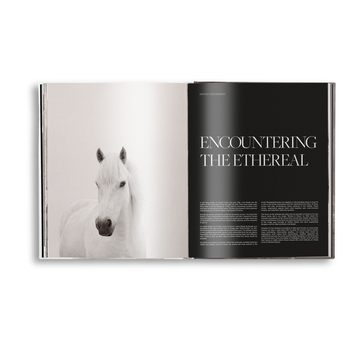 Untamed Spirits: Horses From Around the World Book