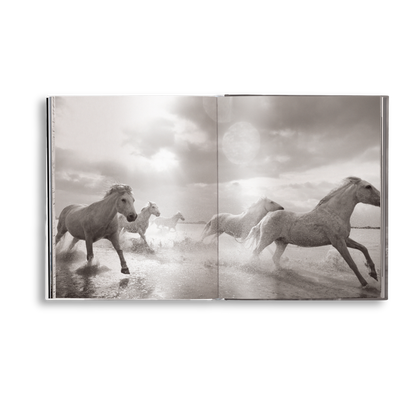 Untamed Spirits: Horses From Around the World Book
