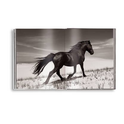 Untamed Spirits: Horses From Around the World Book