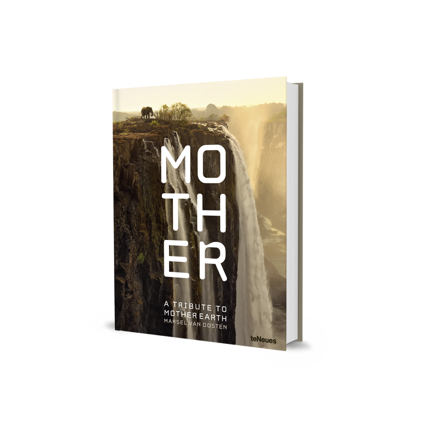 Mother Book