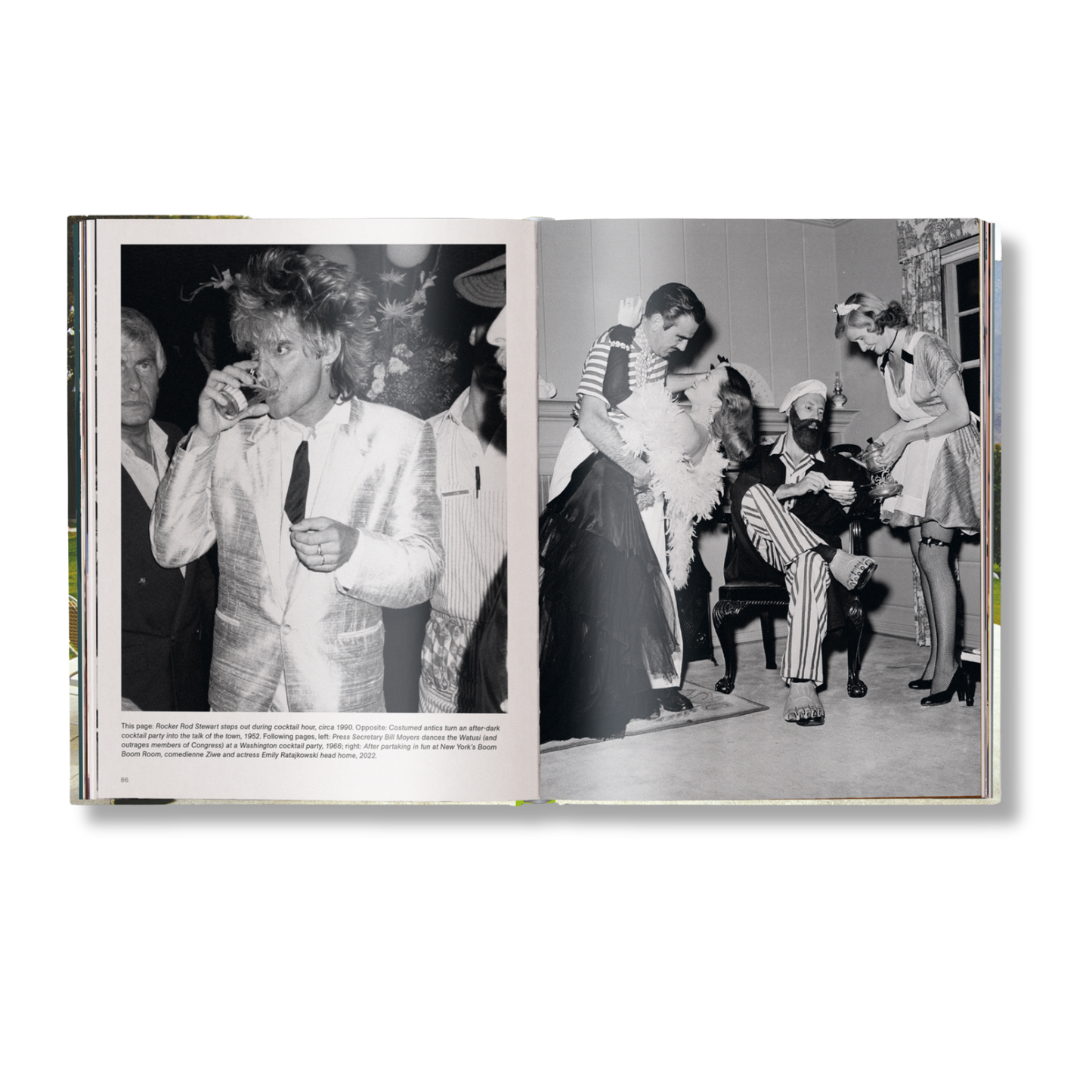 The Stylish Life: Cocktail Parties Book