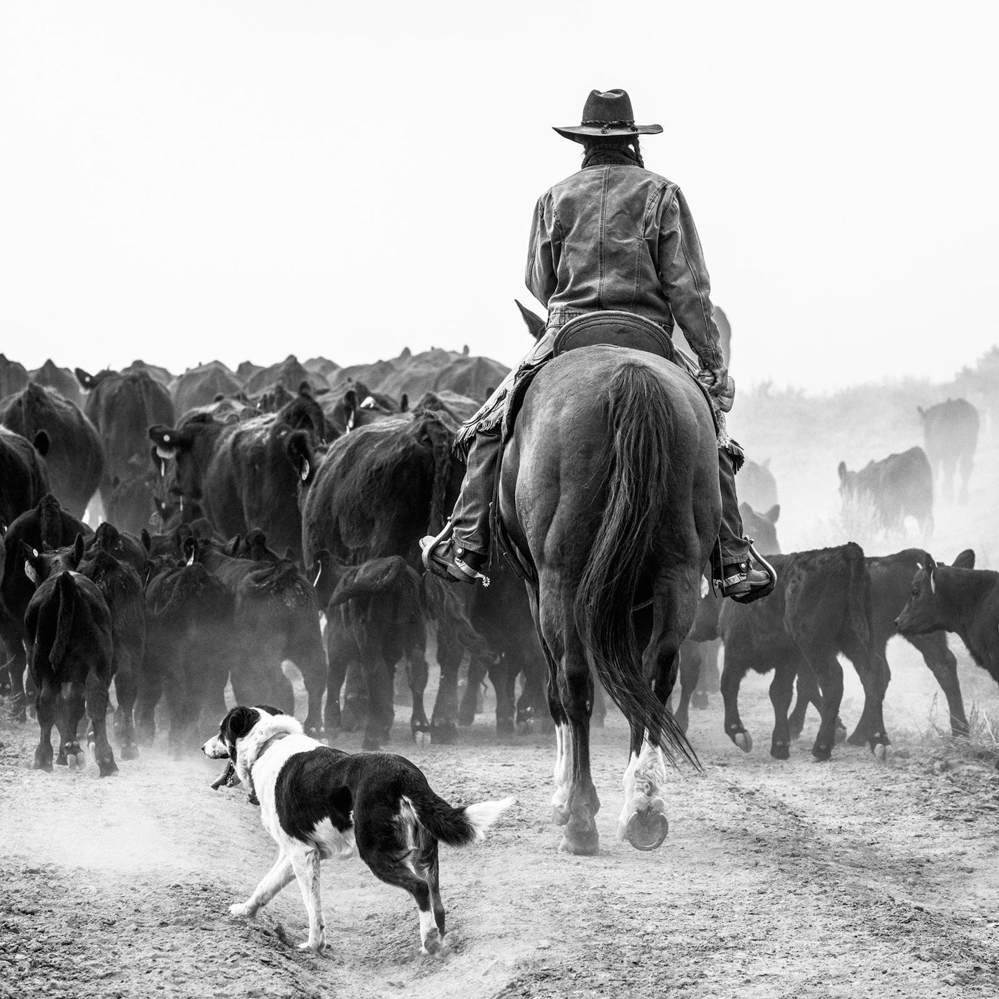 A Ranch Year Book