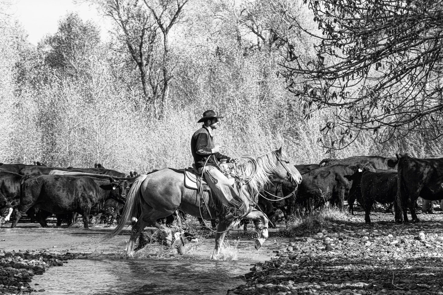 A Ranch Year Book