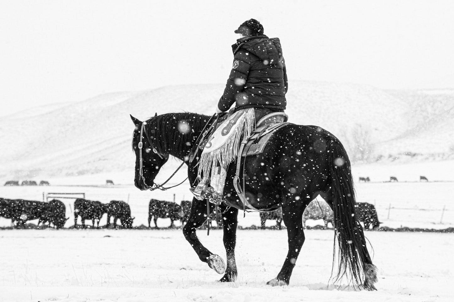 A Ranch Year Book