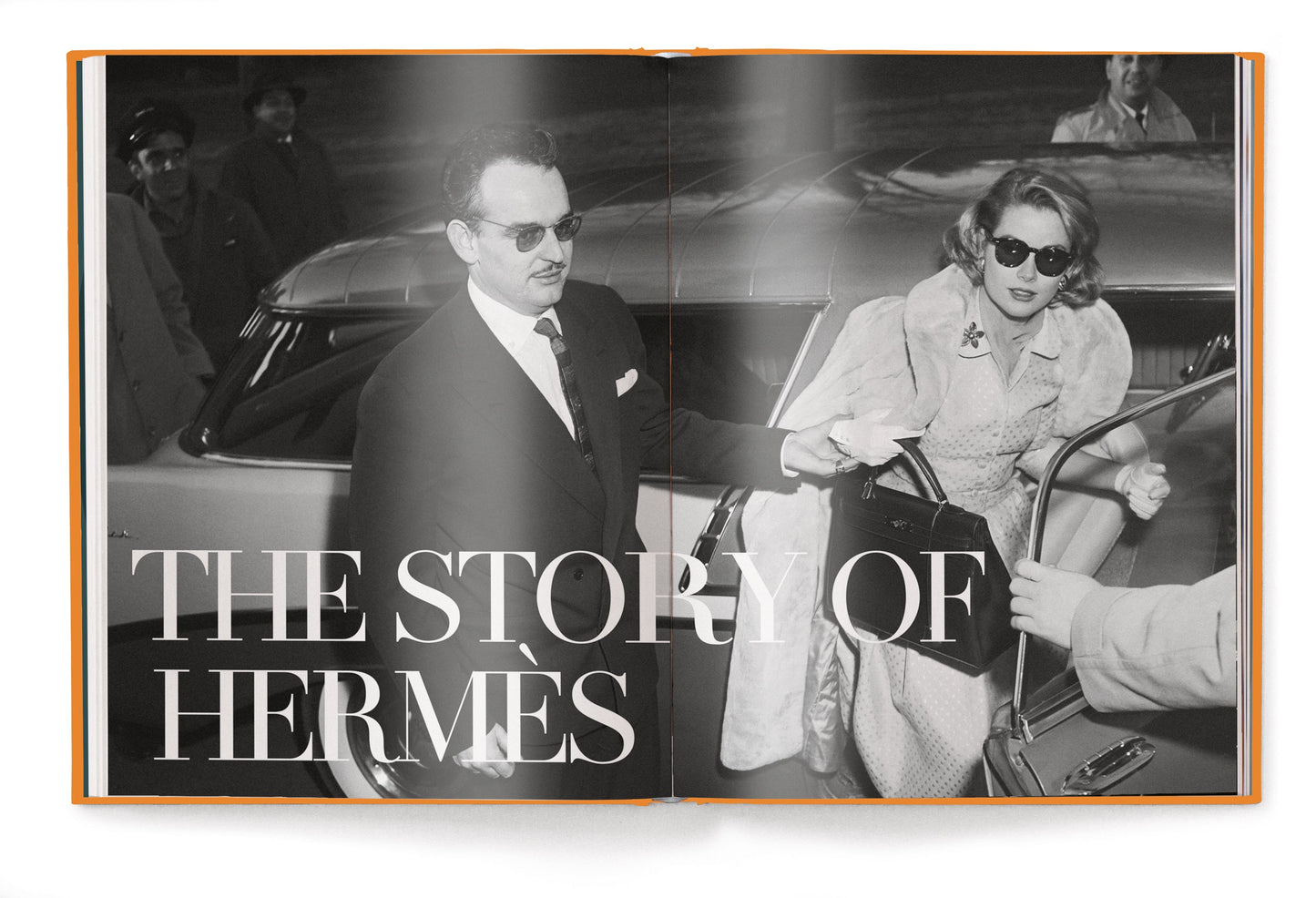 The Ultimate Guide to Herm??s Bags Book