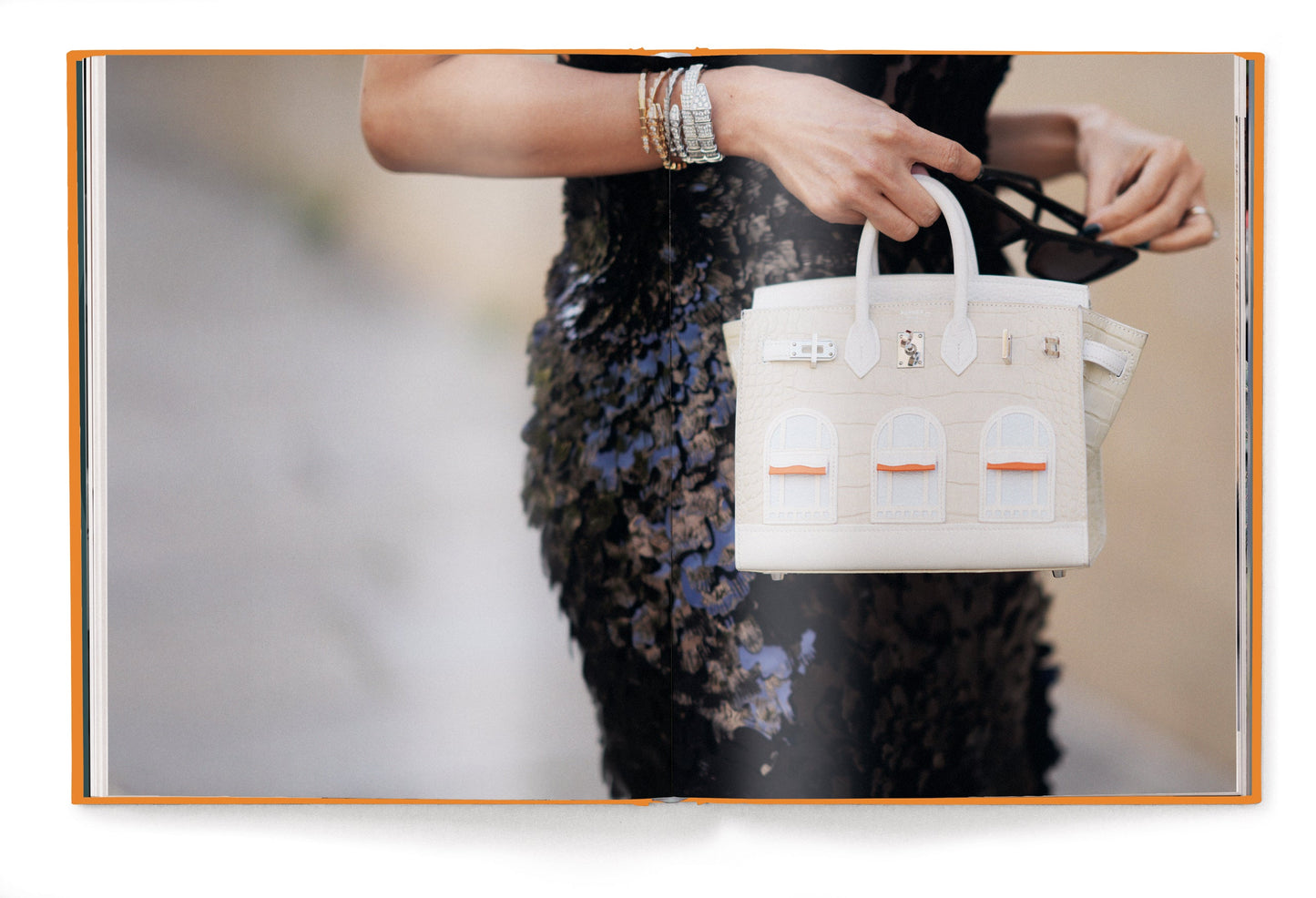 The Ultimate Guide to Herm??s Bags Book